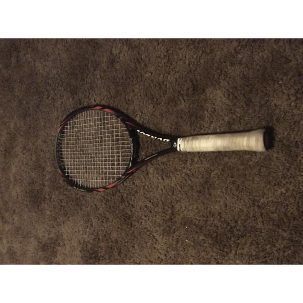Biomimetic 300